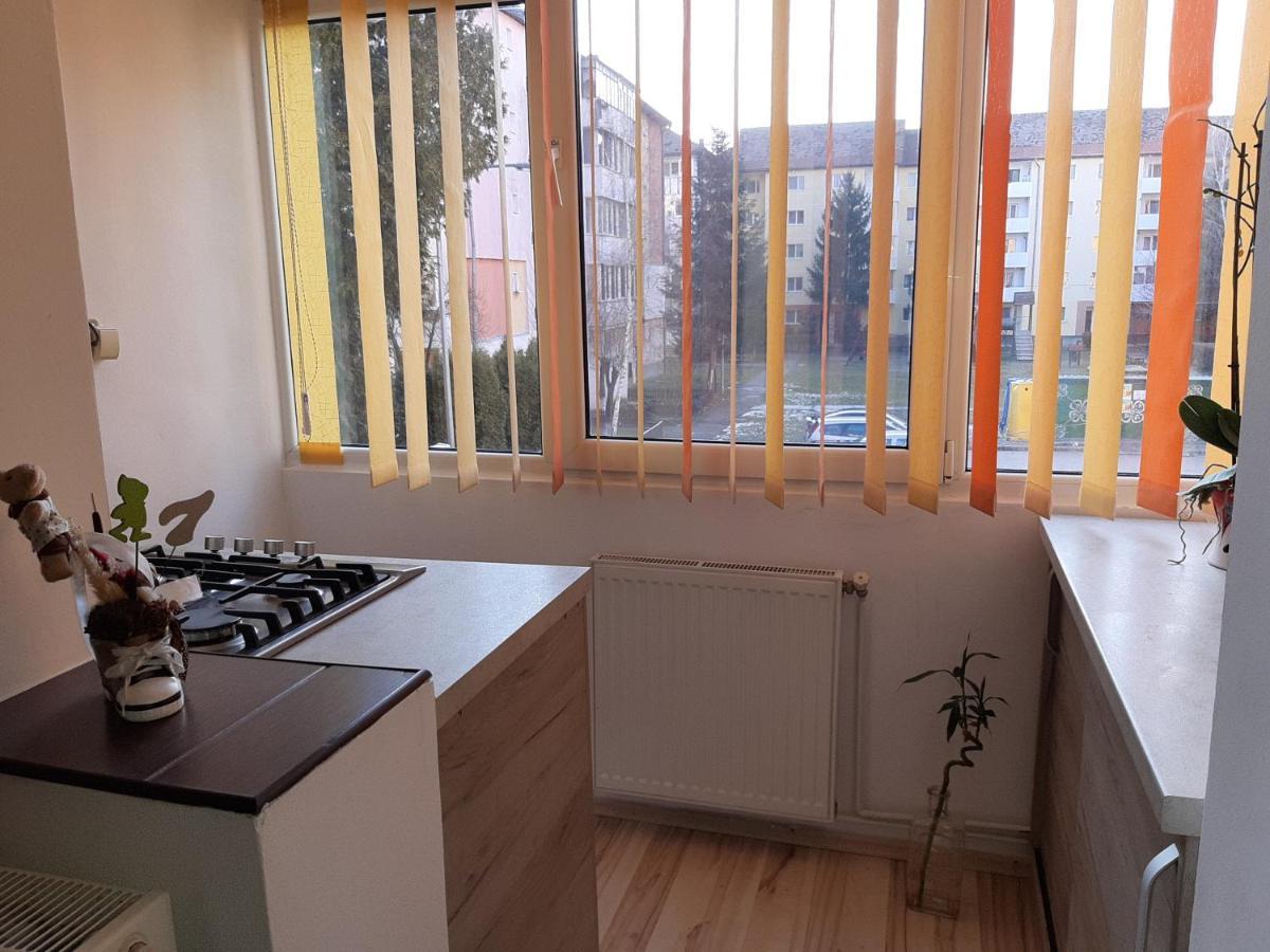 Sepsi 4You Apartment Sfântu-Gheorghe Dış mekan fotoğraf