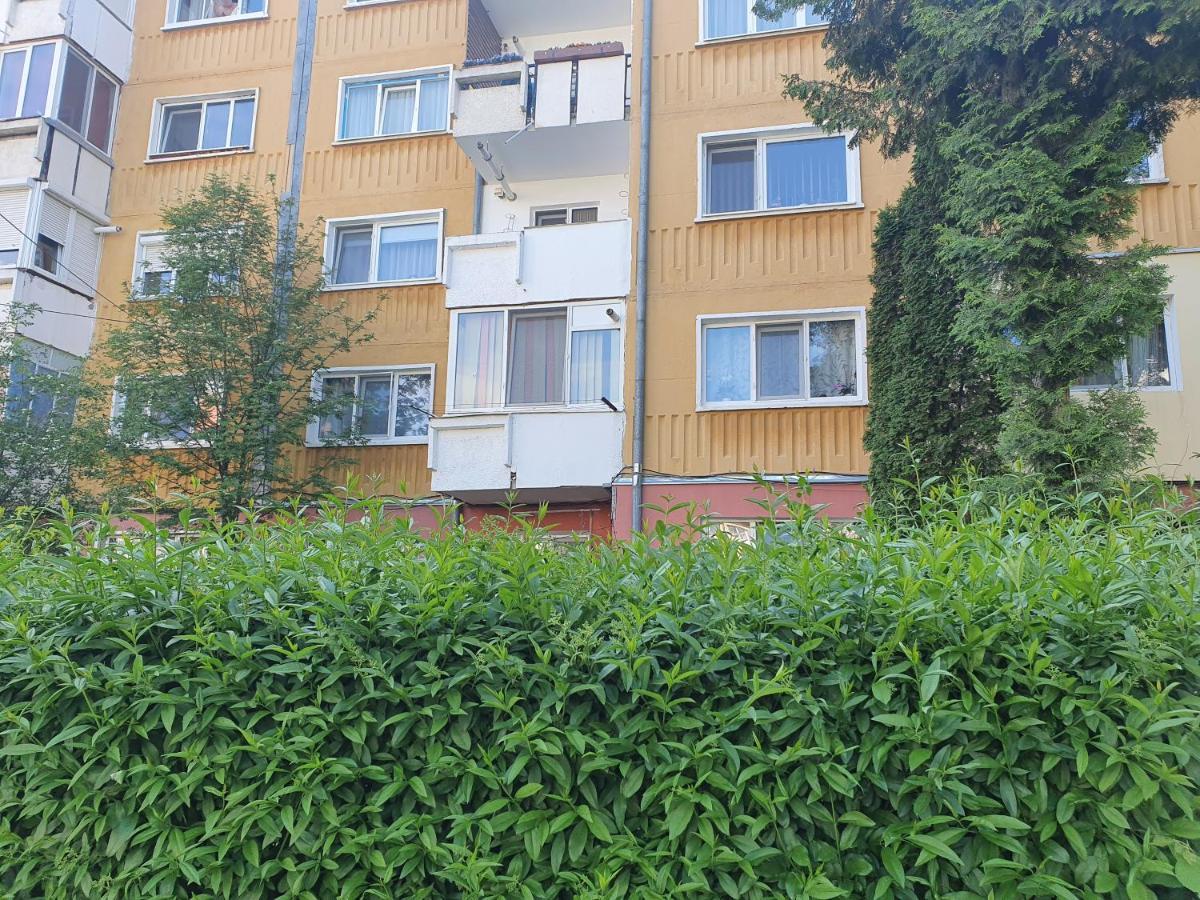 Sepsi 4You Apartment Sfântu-Gheorghe Dış mekan fotoğraf