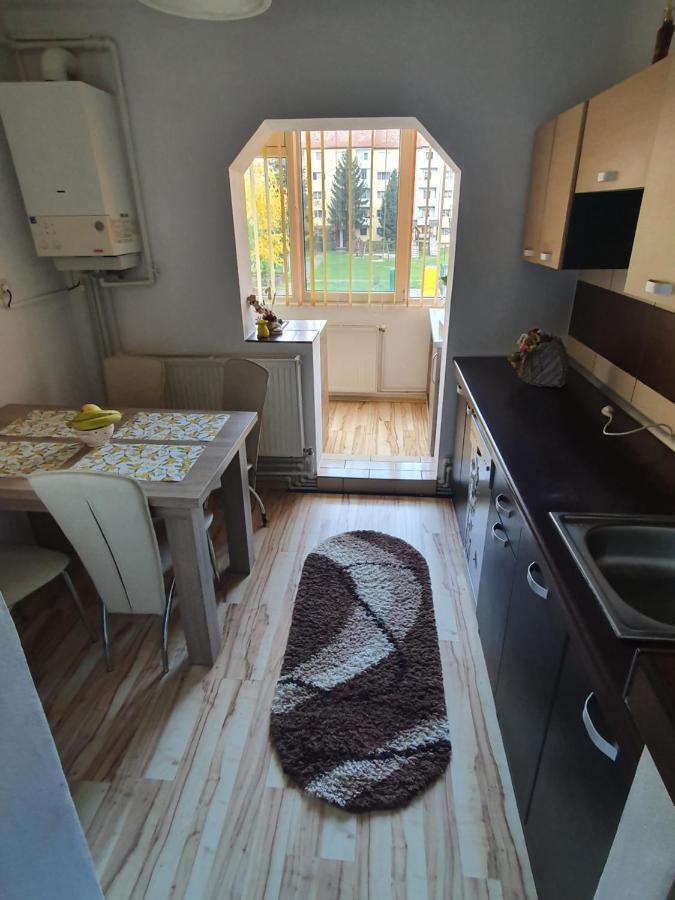 Sepsi 4You Apartment Sfântu-Gheorghe Dış mekan fotoğraf